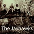 The Jayhawks - Tomorrow The Green Grass