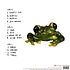 Silverchair - Frogstomp Black Vinyl Edition