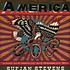 Sufjan Stevens - America