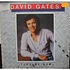 David Gates - Take Me Now