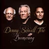 Denny Seiwell Trio - Boomerang