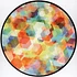 TesseracT - Polaris Record Store Day 2022 Picture Disc Edition