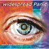 Widespread Panic - Don't Tell The Band