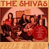 The Shivas - Feels So Good // Feels So Bad