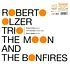 Roberto Olzer Trio - The Moon And The Bonfires