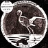 The Black Flamingo - An​-NUR Black Vinyl Edition
