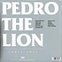 Pedro The Lion - Santa Cruz Green Sunburst 12