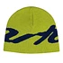 Big Logo Beanie (Light Green)