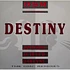 DSM - Destiny (The DMC Remixes)