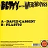 Betty & The Werewolves - David Cassidy