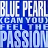 Blue Pearl - (Can You) Feel The Passion