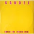 Sandee - Notice Me