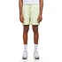 Chase Swim Trunks (Air Green / Gold)