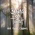 Beans On Toast - Wild Goose Chasers