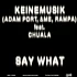 Rampa, Adam Port, &Me - Say What Feat. Chuala