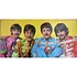 The Beatles - Sgt. Pepper's Lonely Hearts Club Band