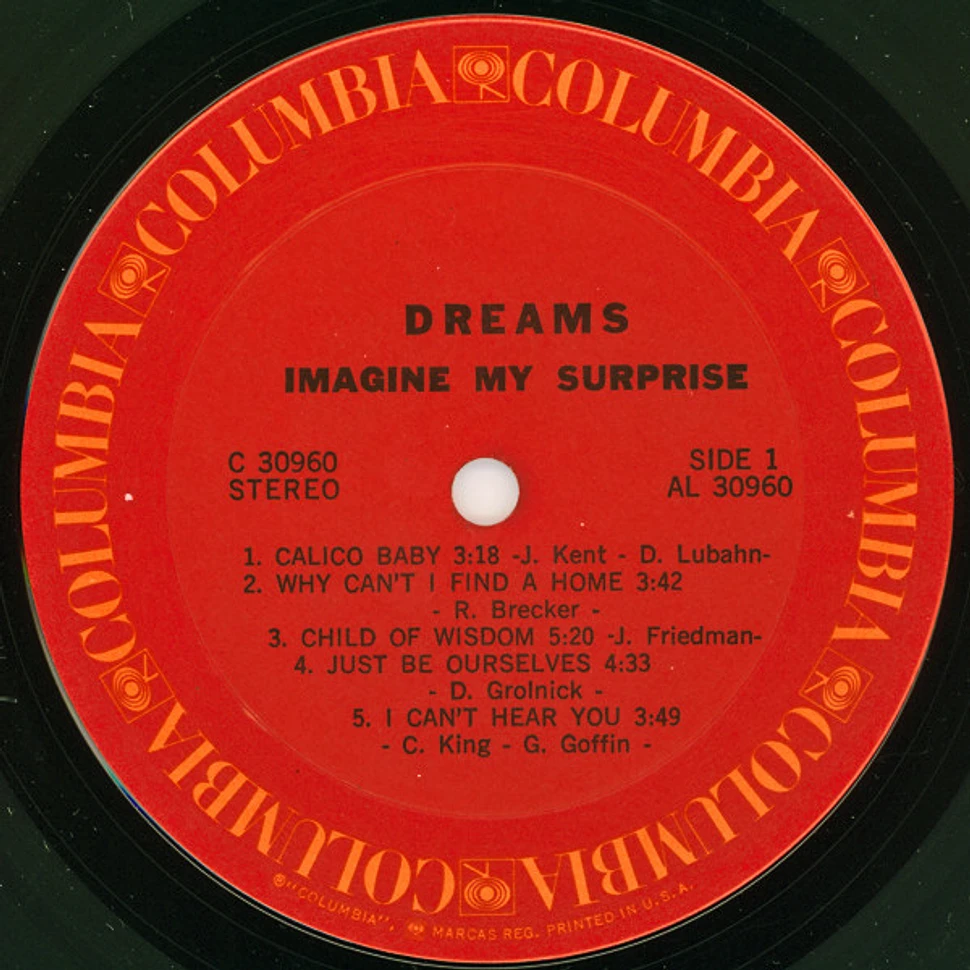 Dreams - Imagine My Surprise