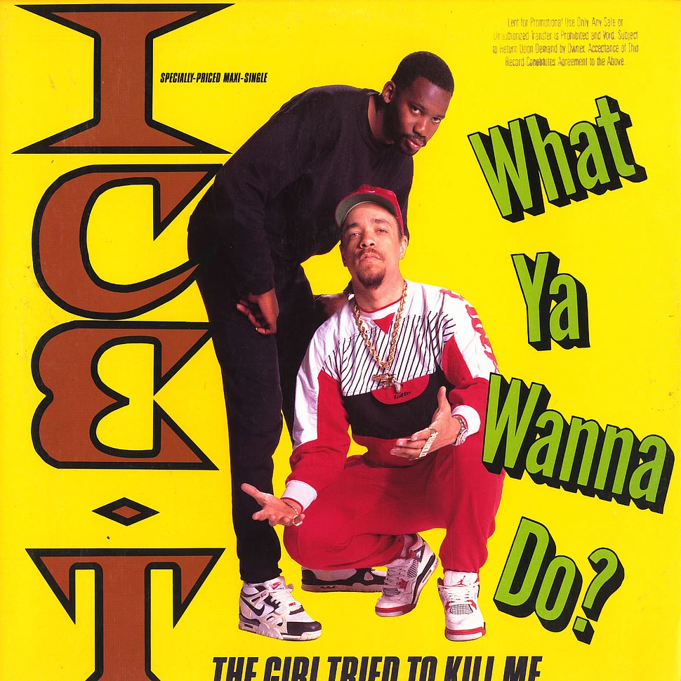 Ice T - What ya wanna do