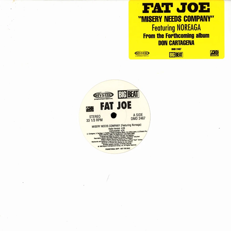 Fat Joe - Misery Needs Company