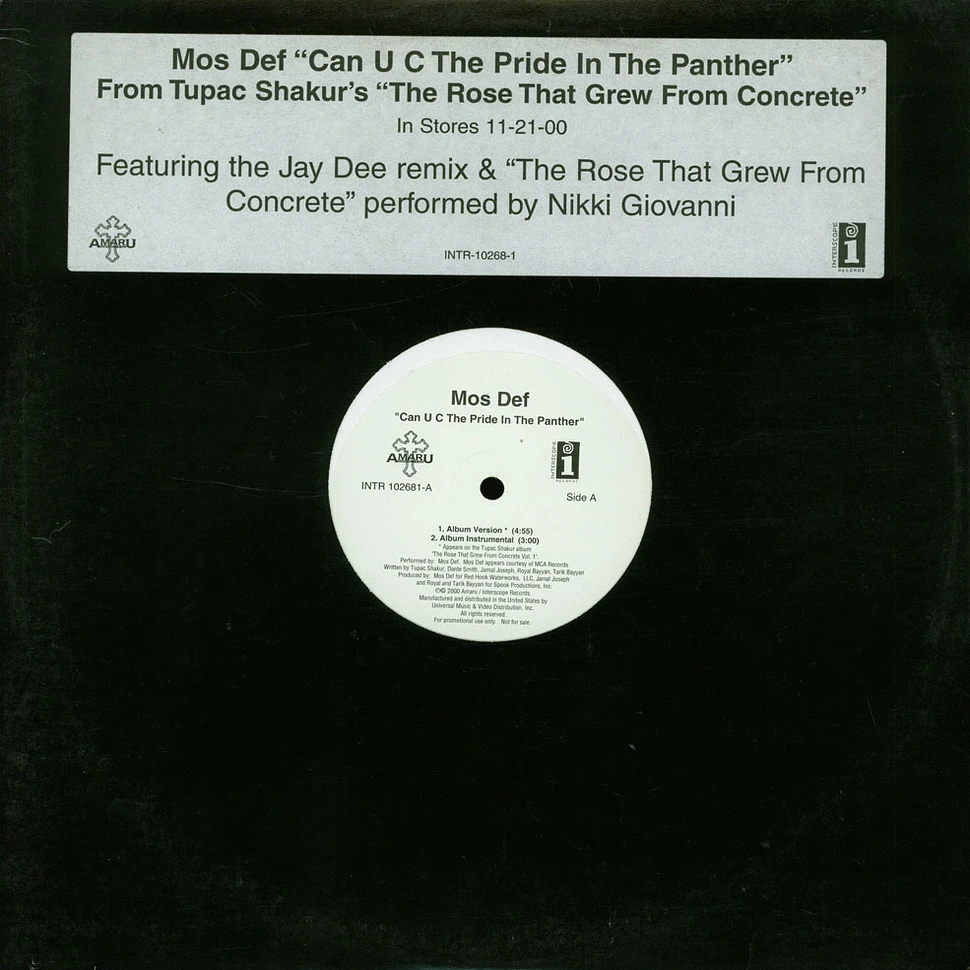 Mos Def - Can U C The Pride In The Panther