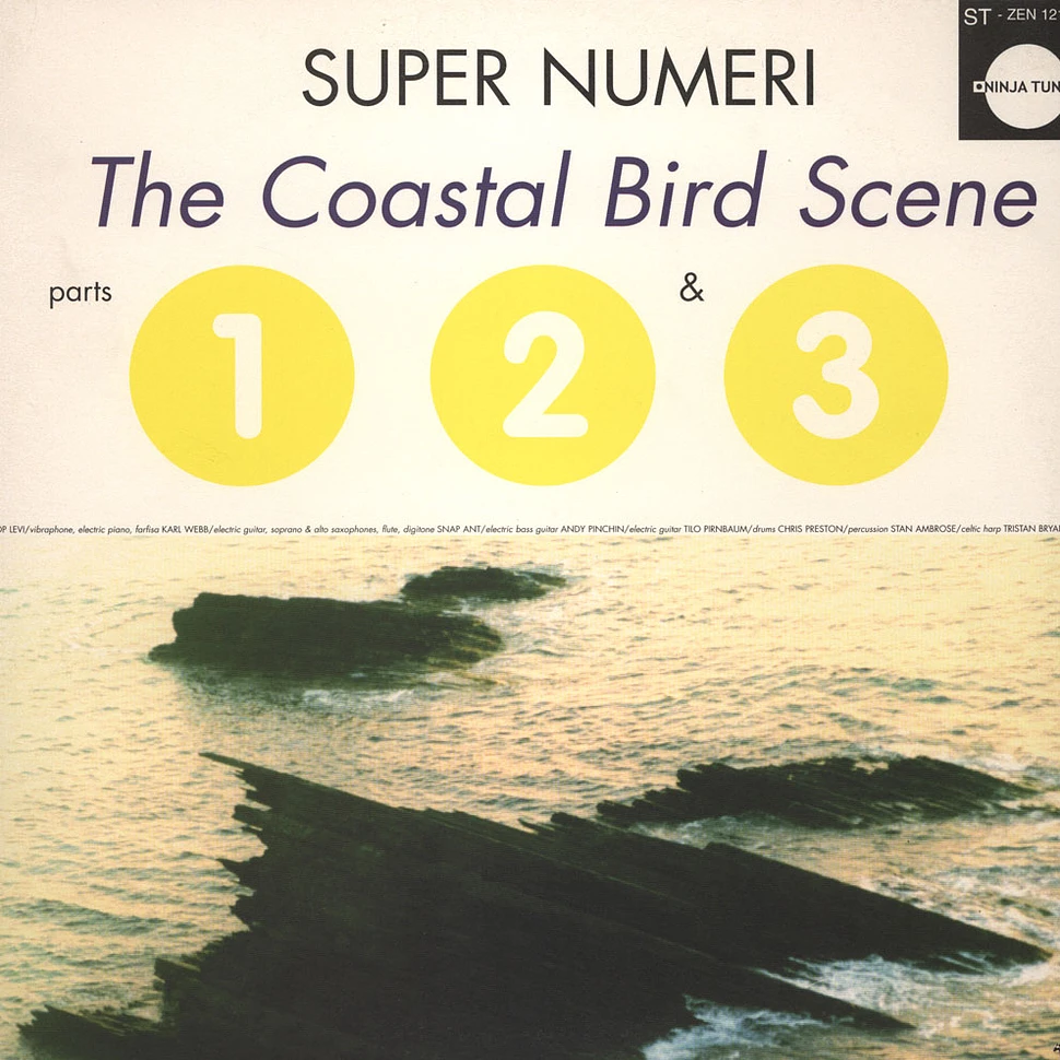 Super Numeri - The coastal bird scene