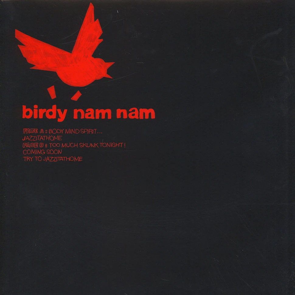 Birdy Nam Nam - Body Mind Spirit
