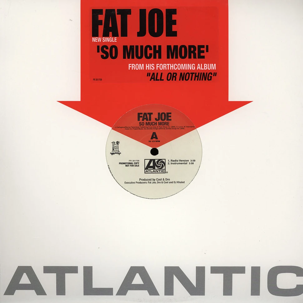 Fat Joe - So much more