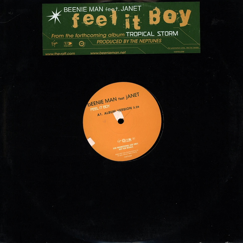 Beenie Man feat. Janet - Feel it boy
