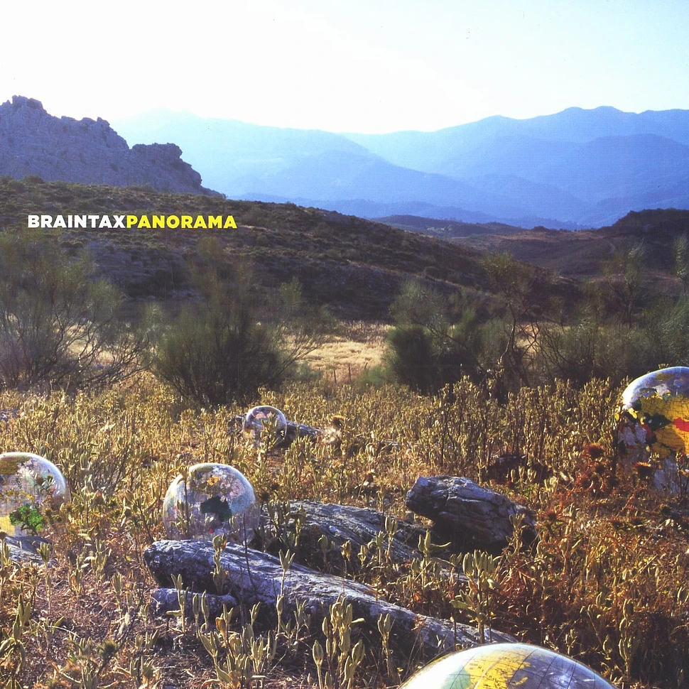 Braintax - Panorama