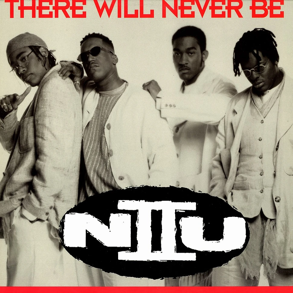 N II U - There Will Never Be