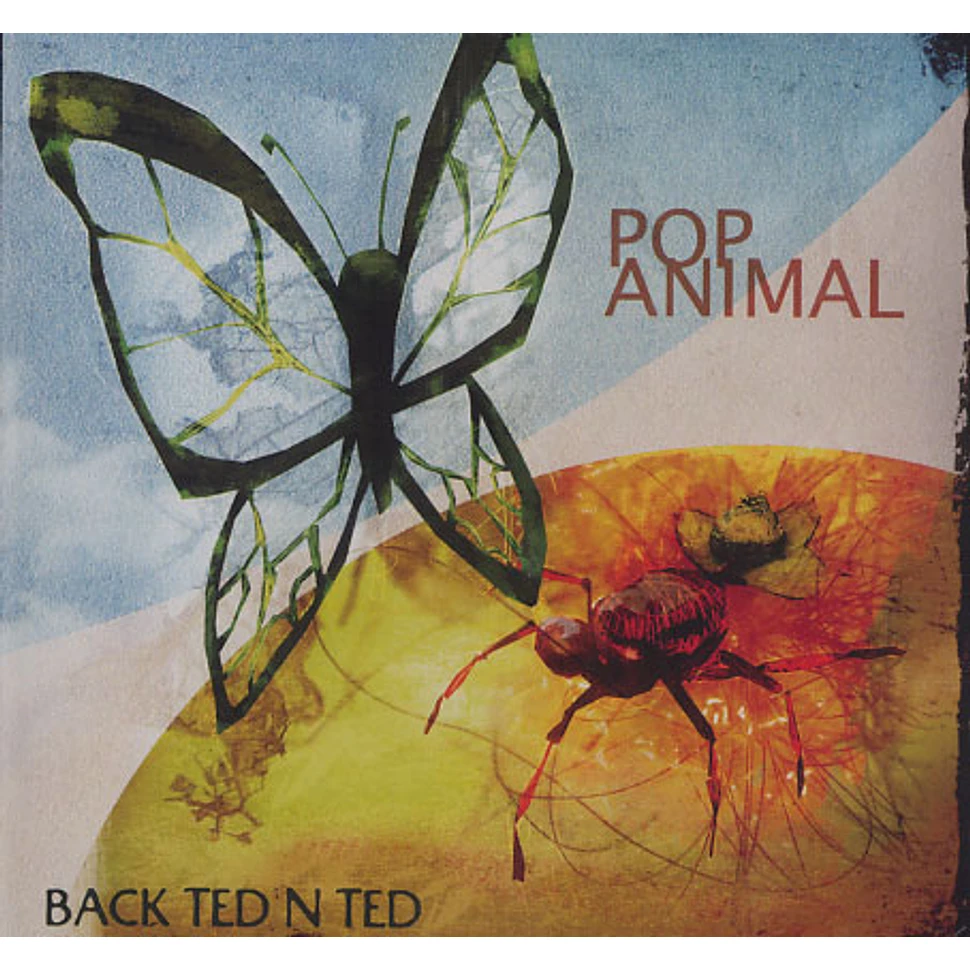 Pop Animal - Back ted n ted
