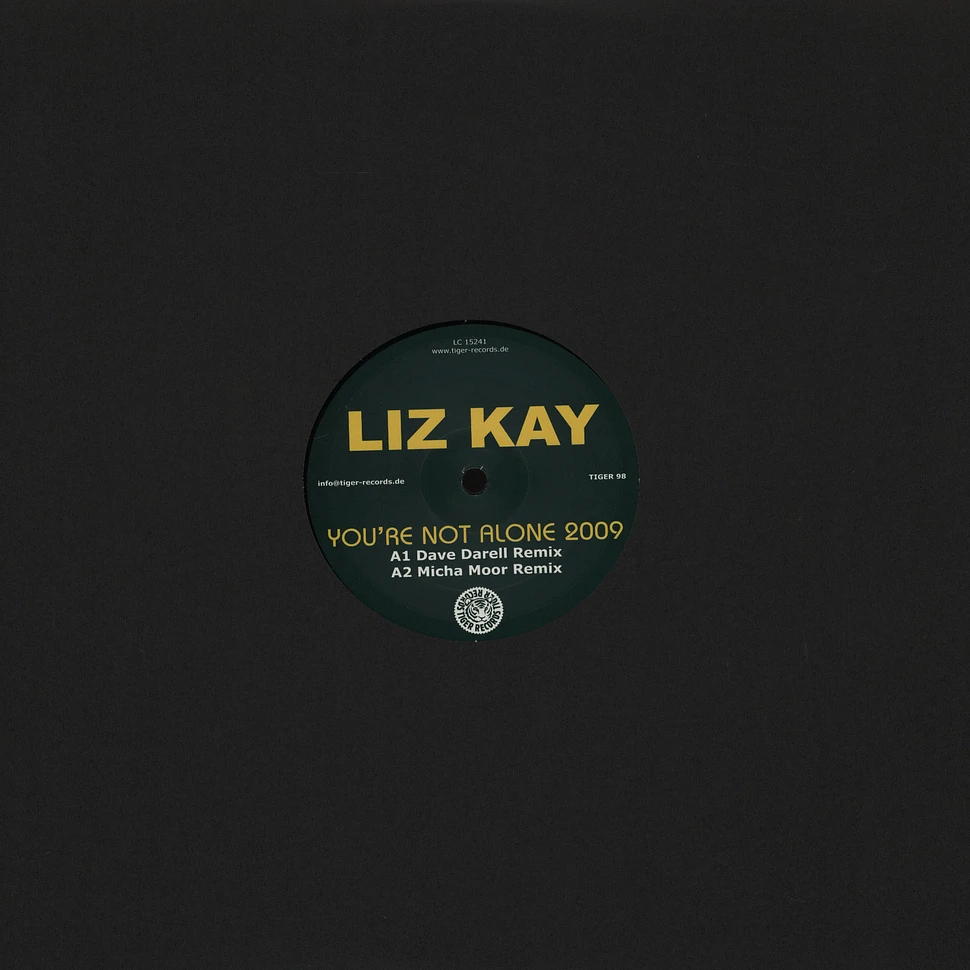 Liz Kay - You are not alone 2009