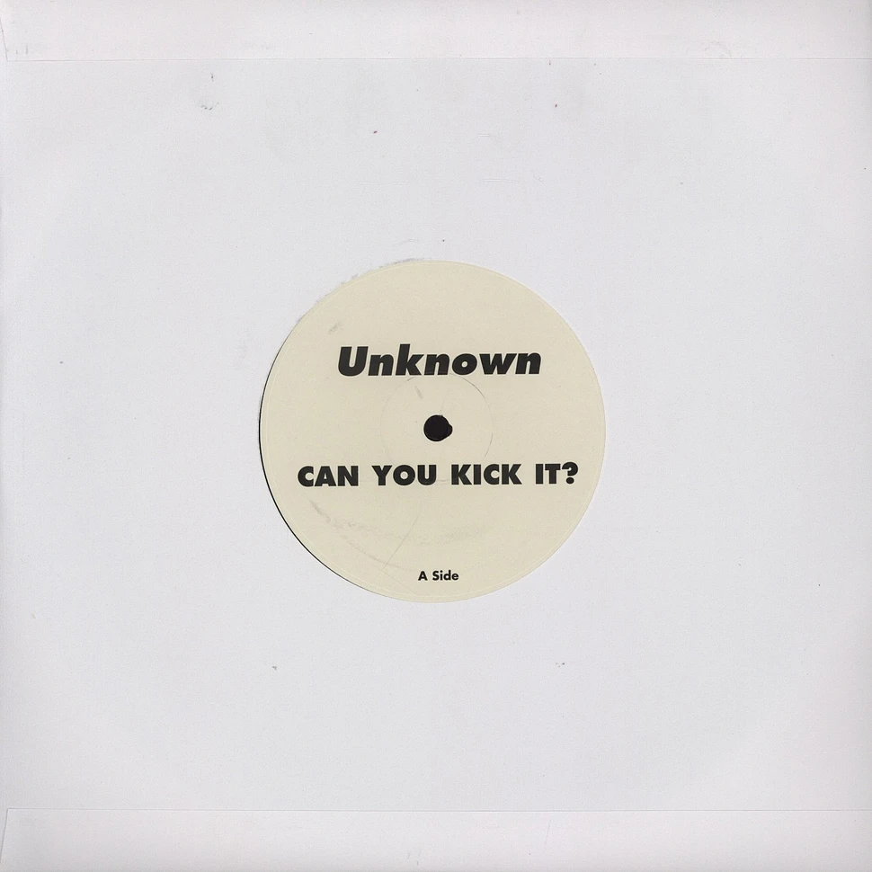 The Unknown Artist - Can you kick it?