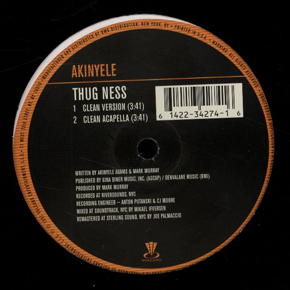 Akinyele - Thug Ness
