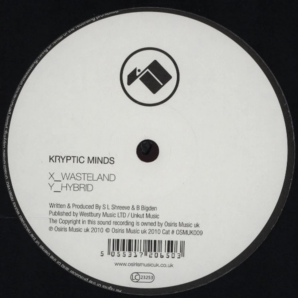 Kryptic Minds - Wasteland