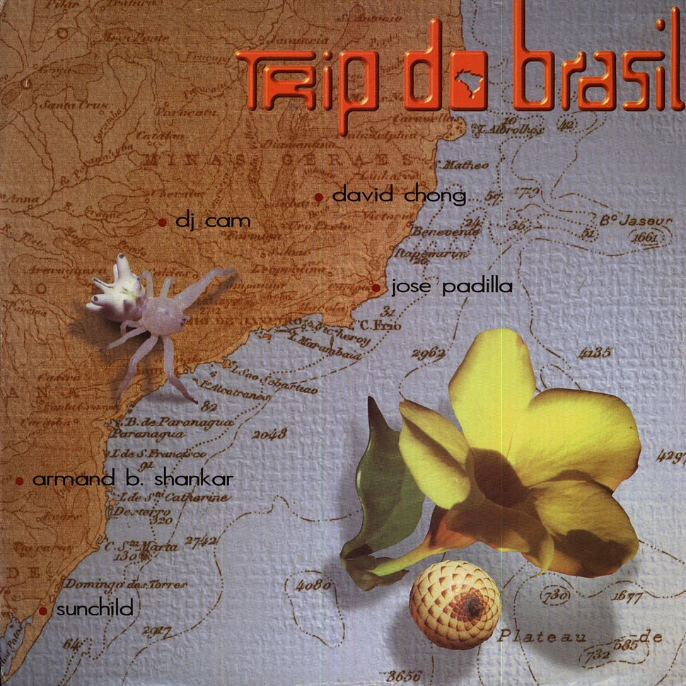V.A. - Trip Do Brasil - The Brasilian Flavor