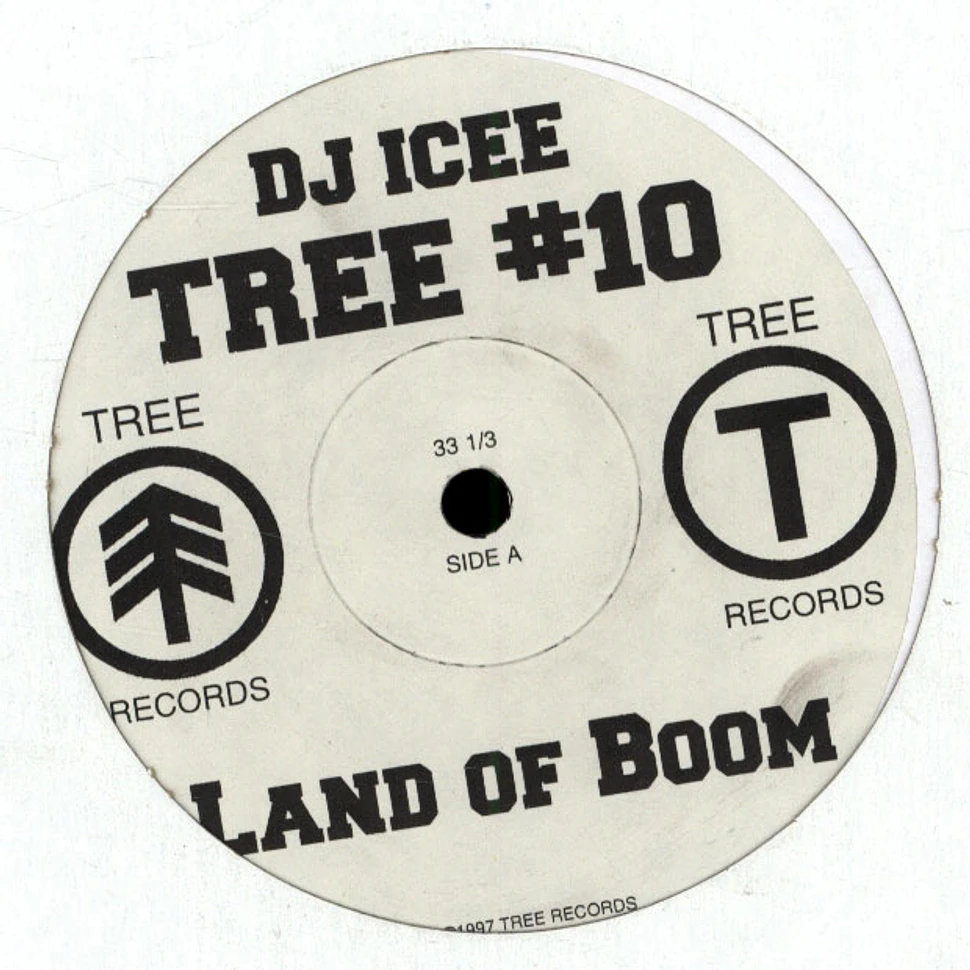 DJ Icey - Land Of Boom / As If