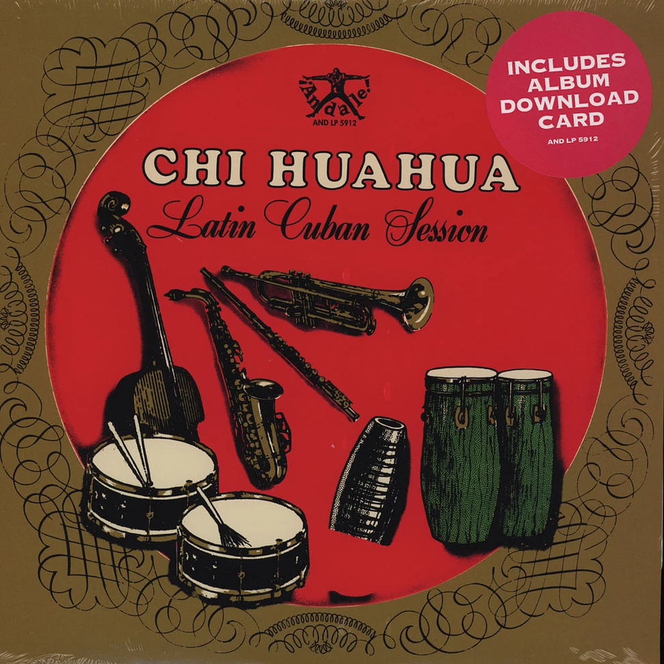Chi Huahua - Latin Cuban Session