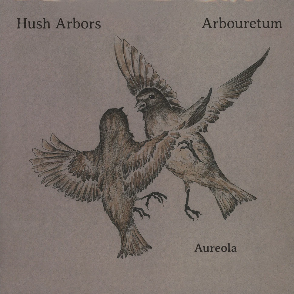 Hush Arbors / Arbouretum - Aureola