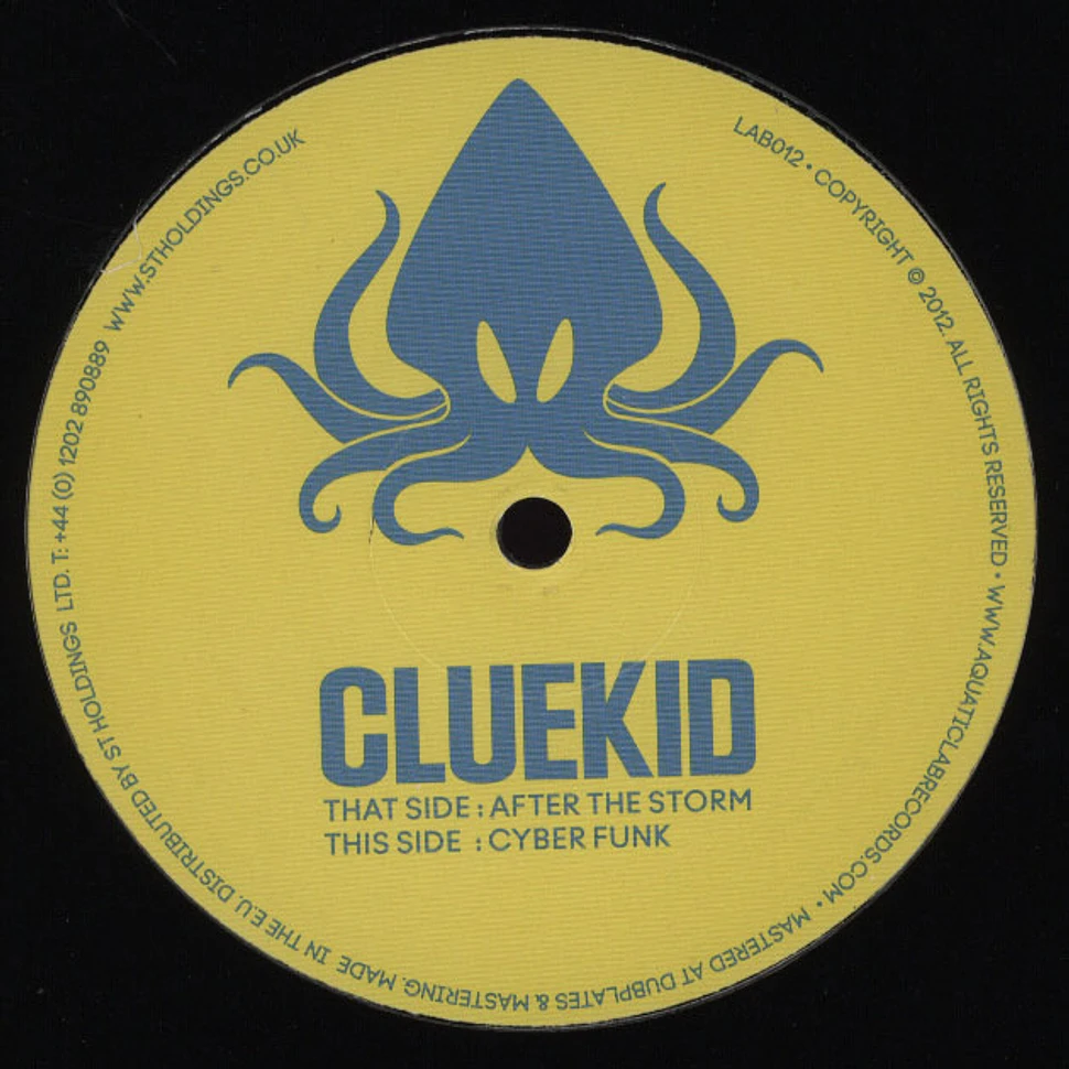 Cluekid - After The Storm