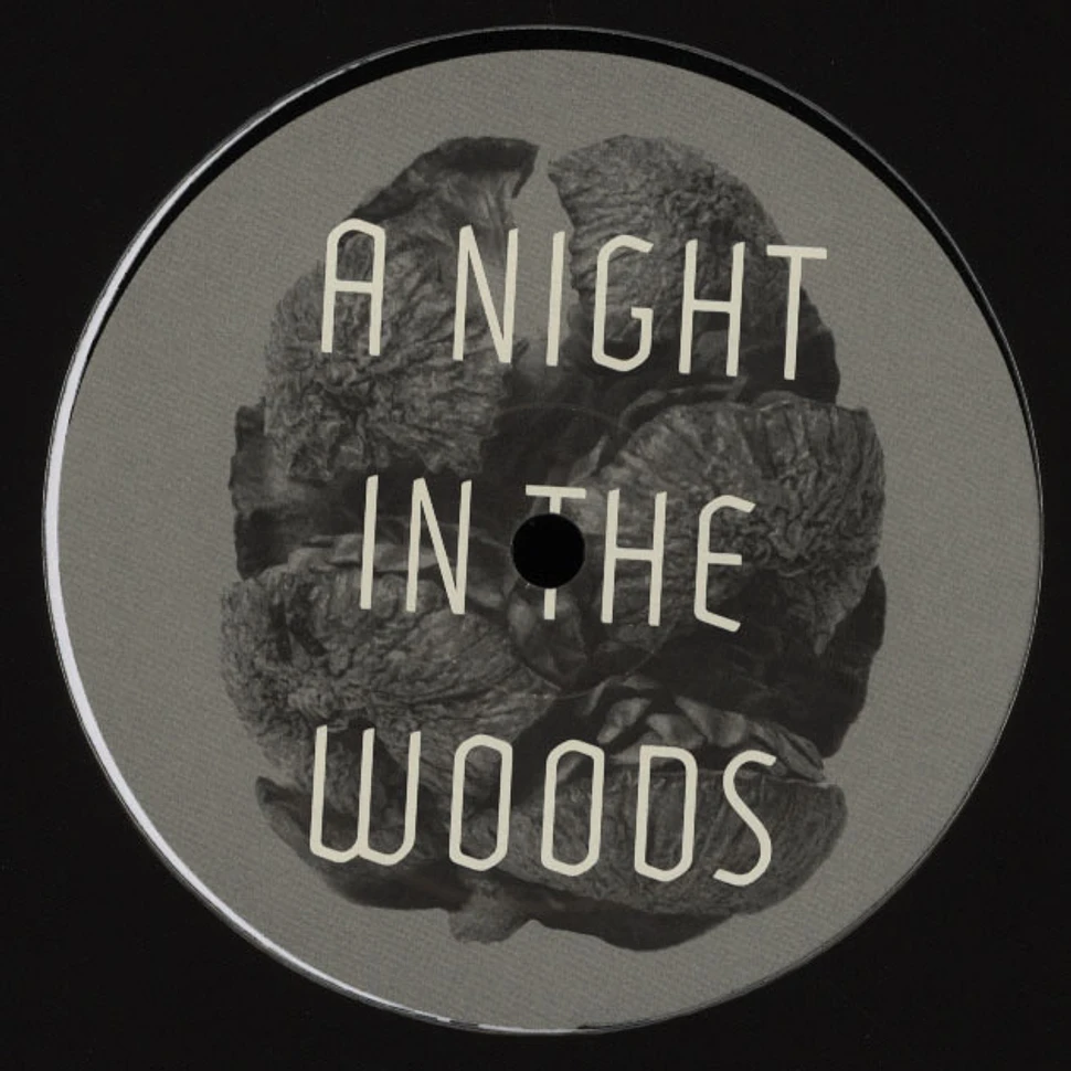 Tyler Friedman - A Night In The Woods
