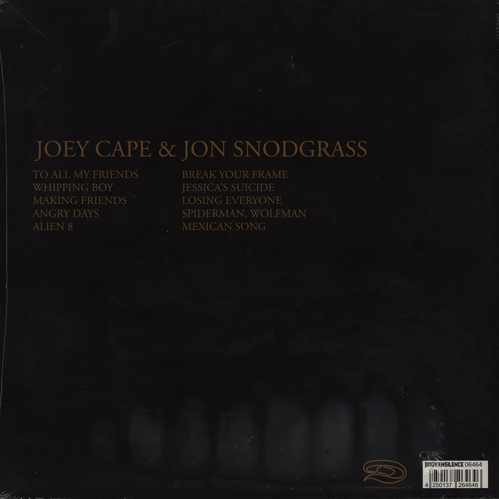 Joey Cape of Lagwagon / Jon Snodgrass - Liverbirds