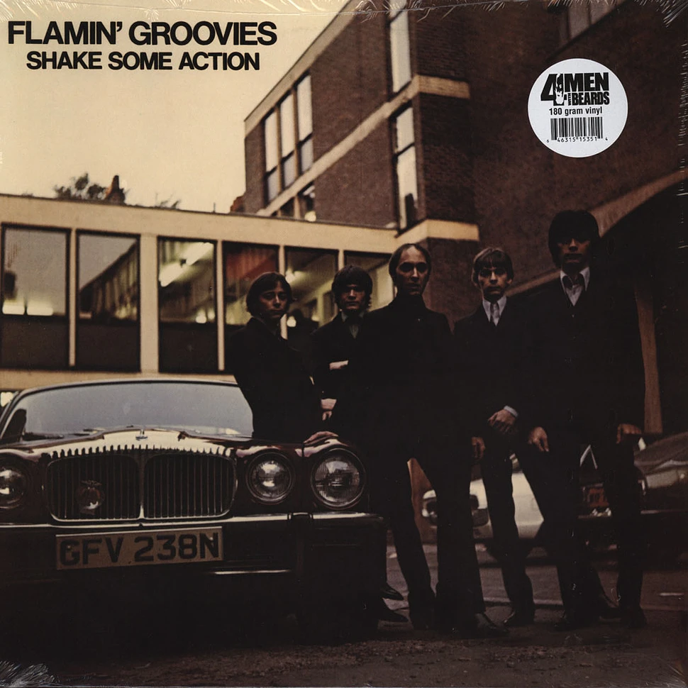 Flamin Groovies - Shake Some Action