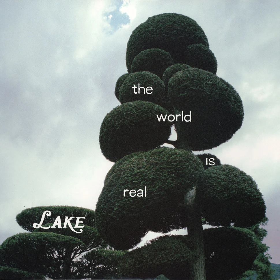 Lake - World Is Real