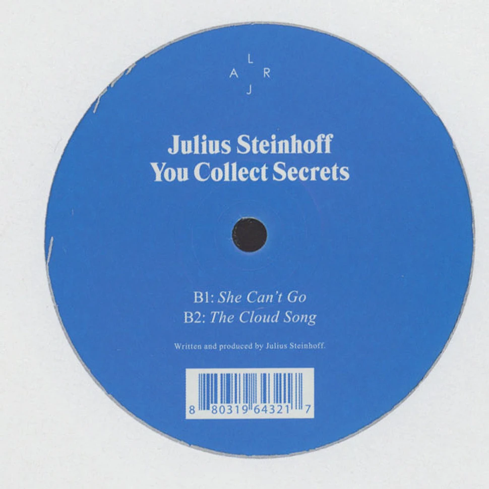 Julius Steinhoff - You Collect Secrets