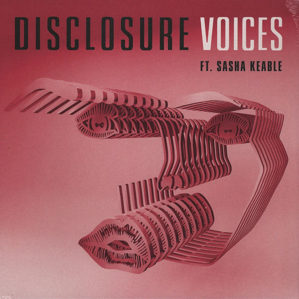 Disclosure - Voices feat. Sasha Keable