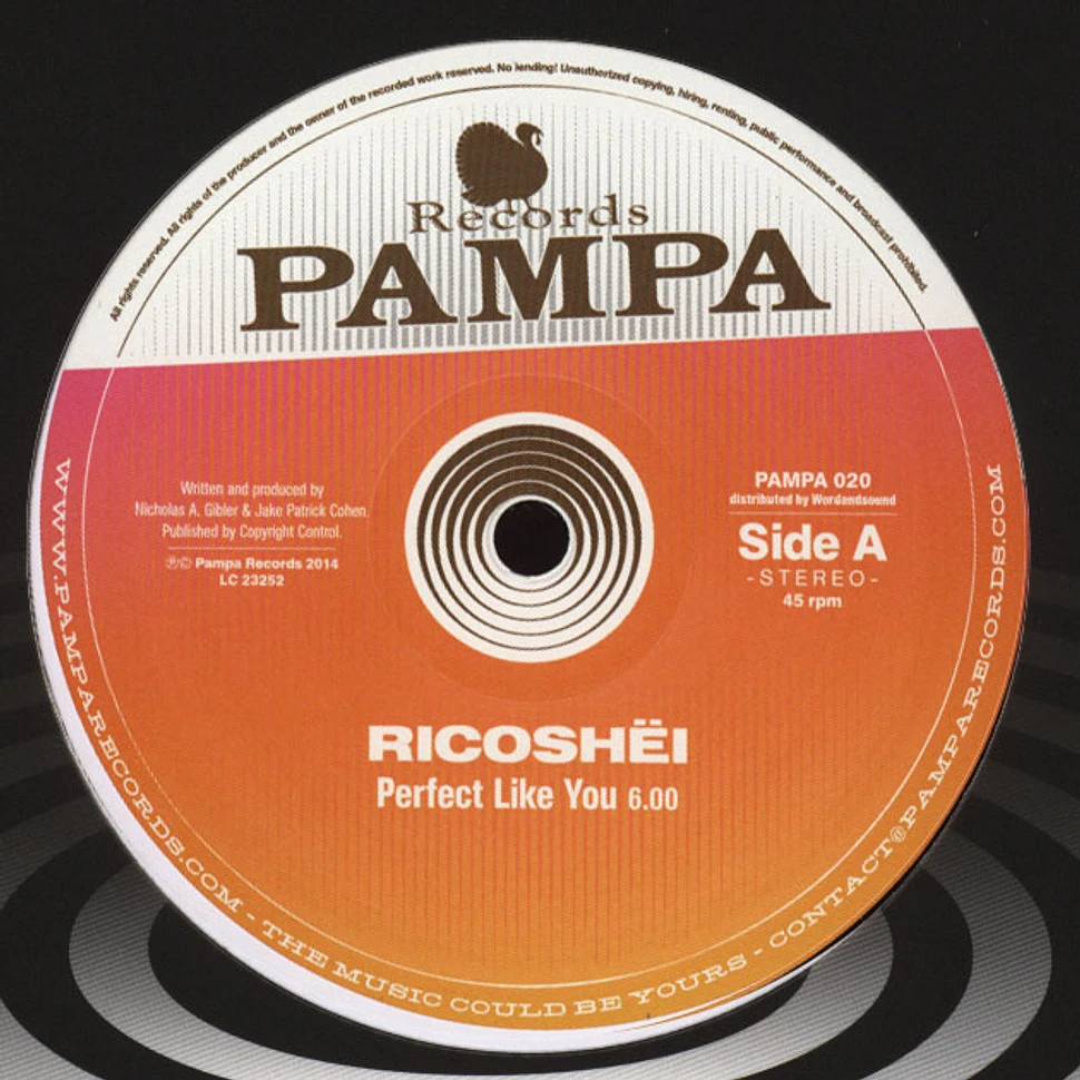 Ricoshei & Dave DK - Perfect Like You, Woolloomooloo