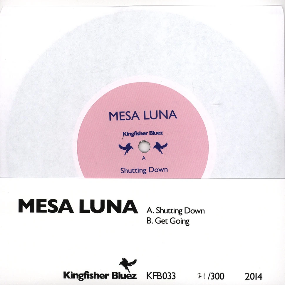 Mesa Luna - Shutting Down