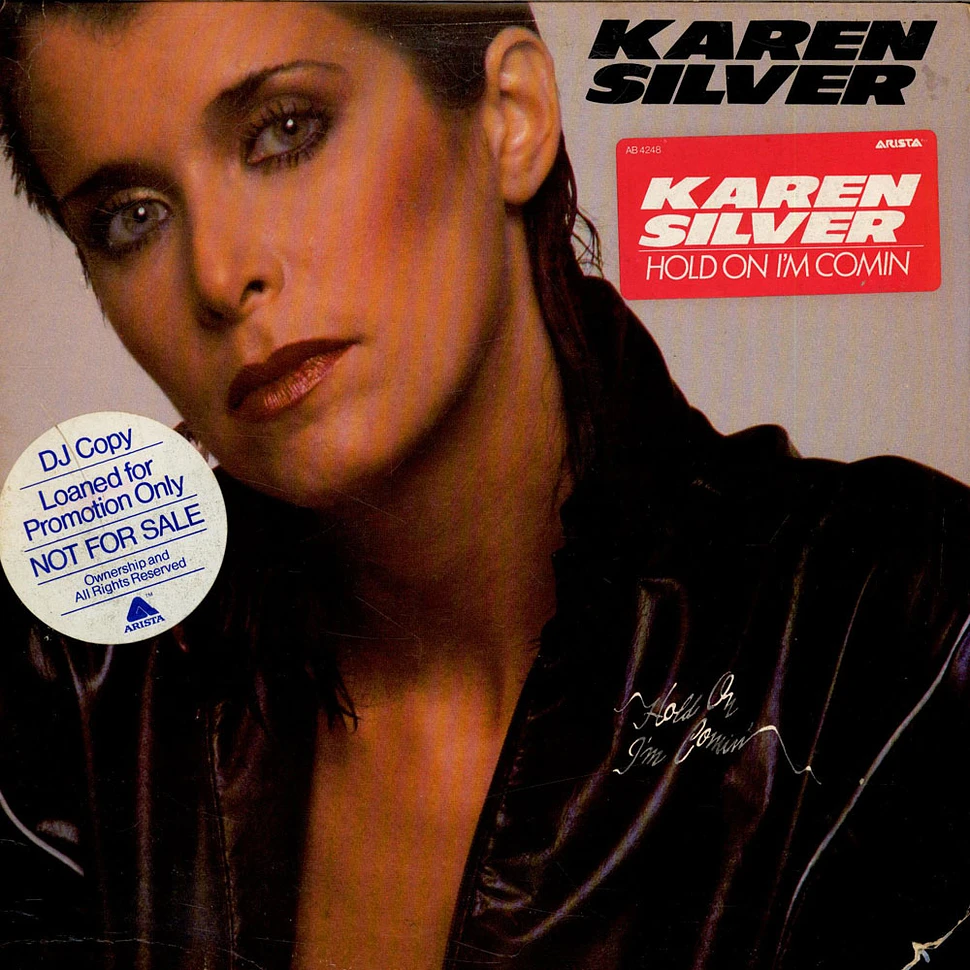 Karen Silver - Hold On I'm Comin'