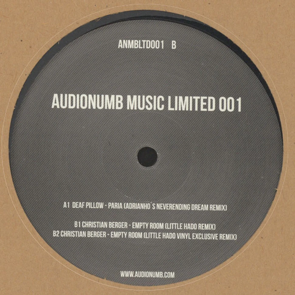 V.A. - Audionumb Music 001 Little Hado Remix